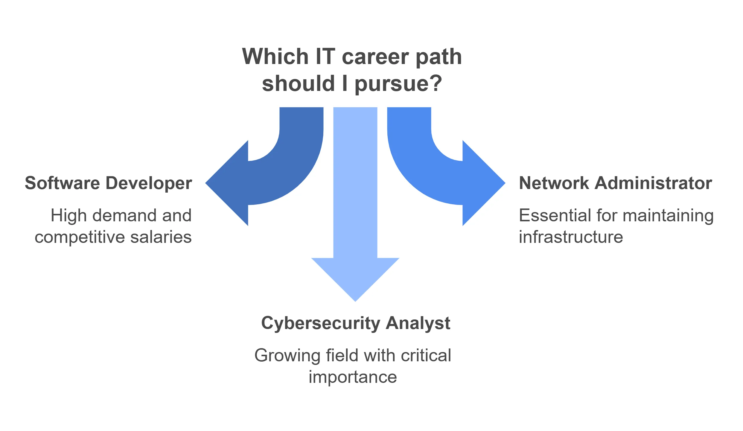 The Backbone of Business: Why an IT Degree is Your Path to an In-Demand Career